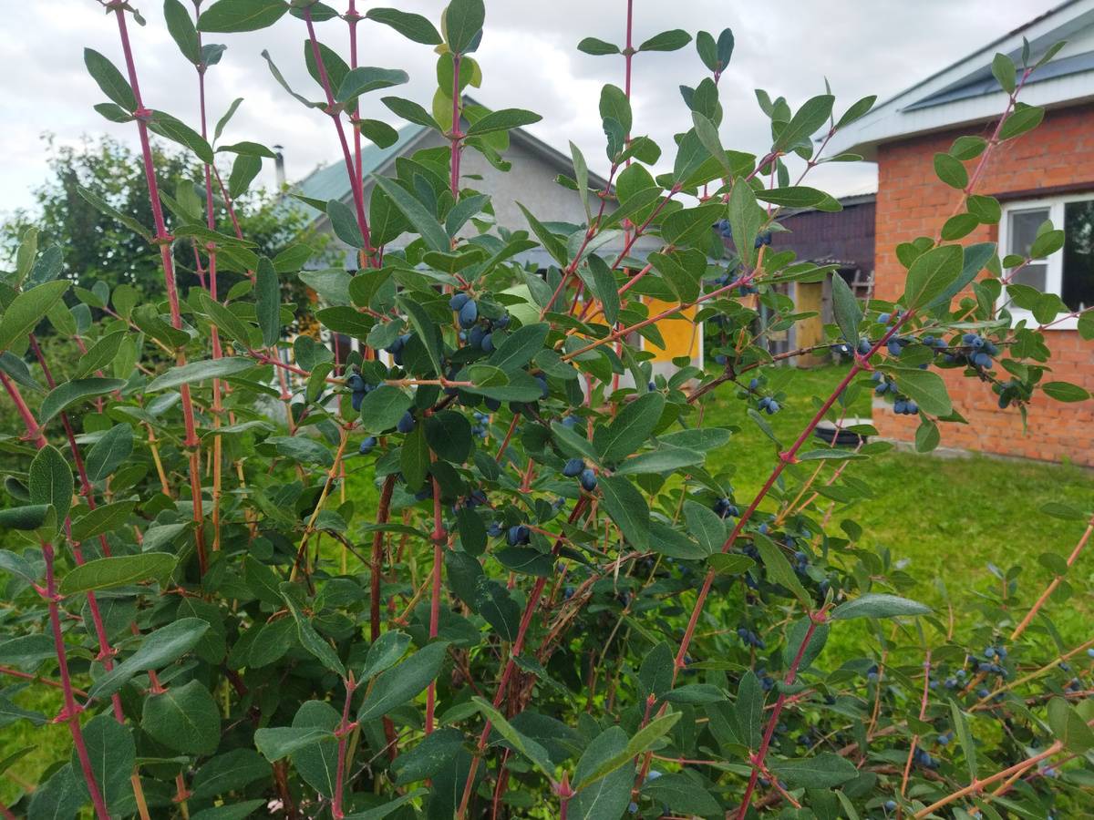 Фото автора 