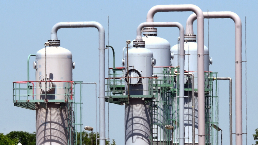    Фото: www.globallookpress.com/Waltraud Grubitzsch