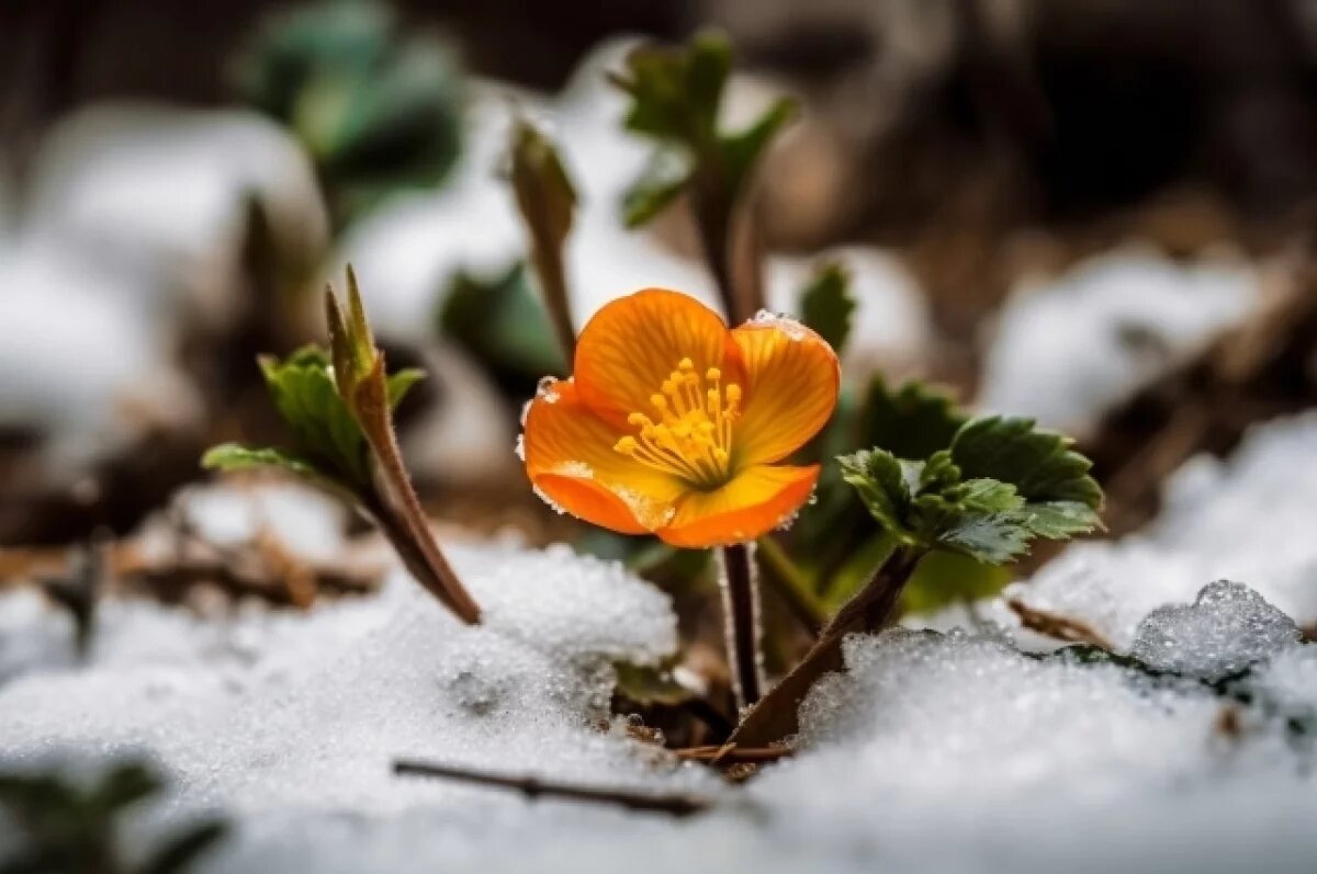    Синоптик Шувалов объяснил снег в июне в Сочи