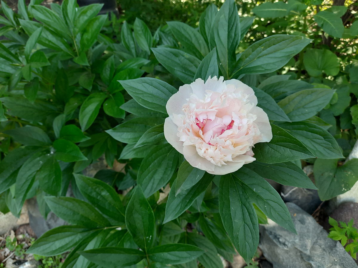 Фотографии добавлены для летнего настроения