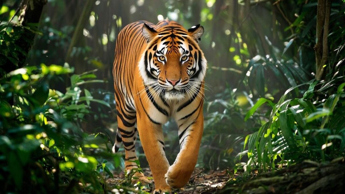    Изображение сгенерировано с помощью ИИ.