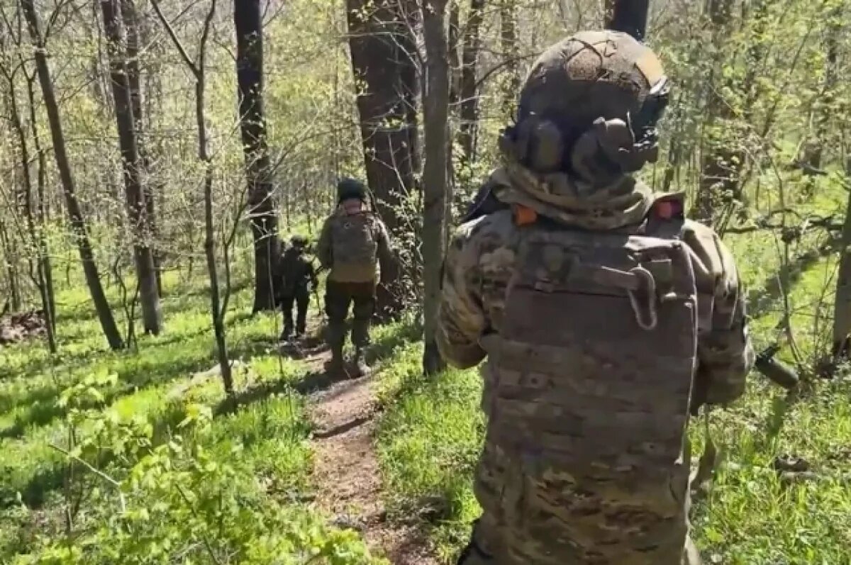    Боец Фет: саперы КНДР получат ценный опыт при разминировании под Курском