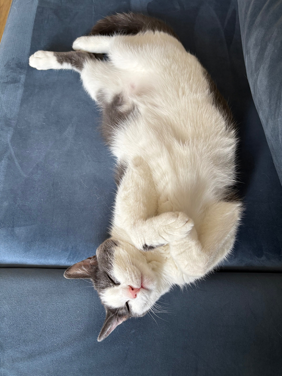 Самое выгоревшее существо в семье -:)…