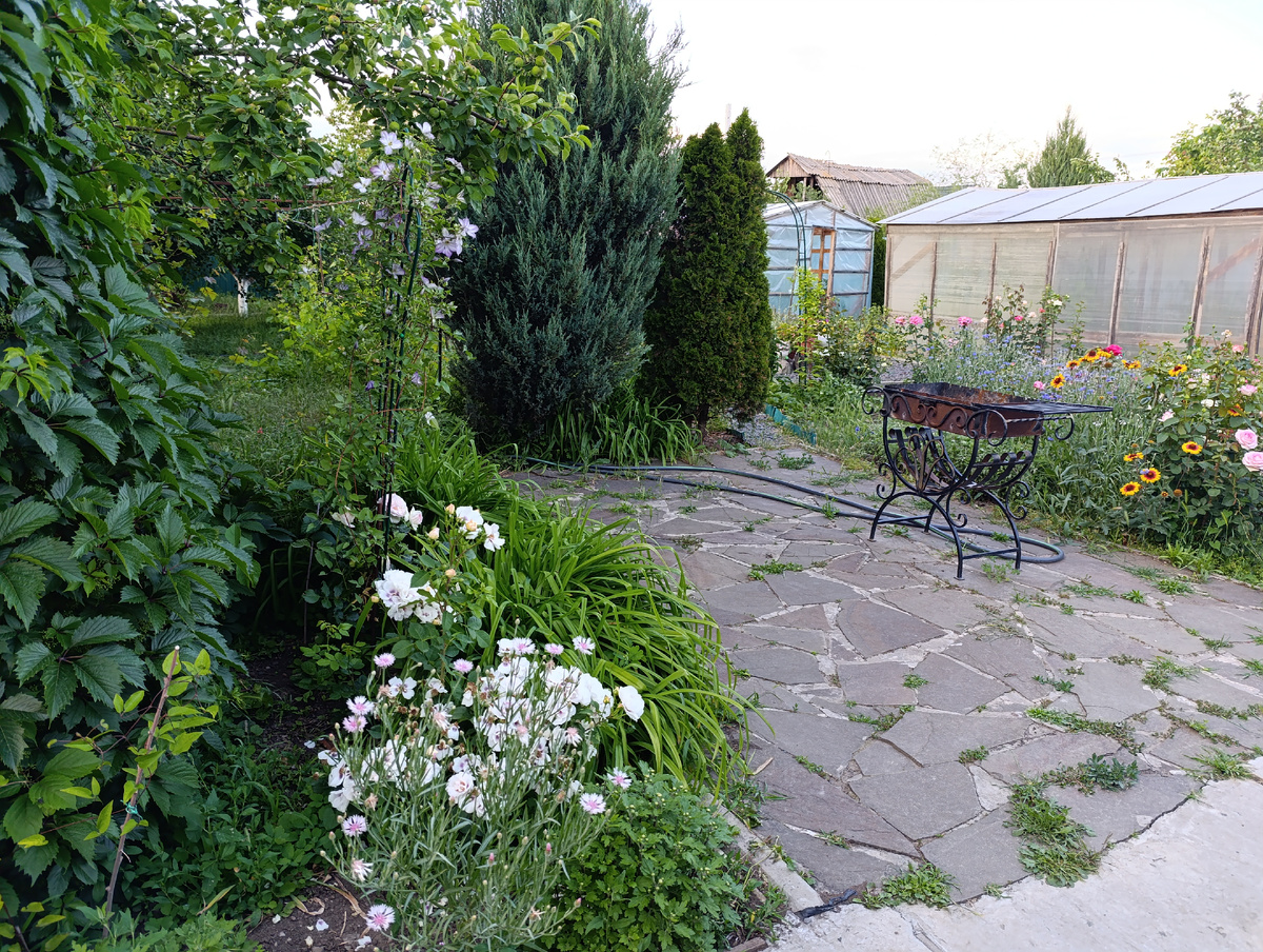 Тут еще  не всю траву убрала  между камней