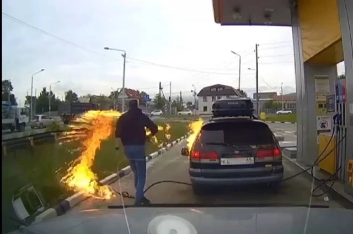    Виноват жук.