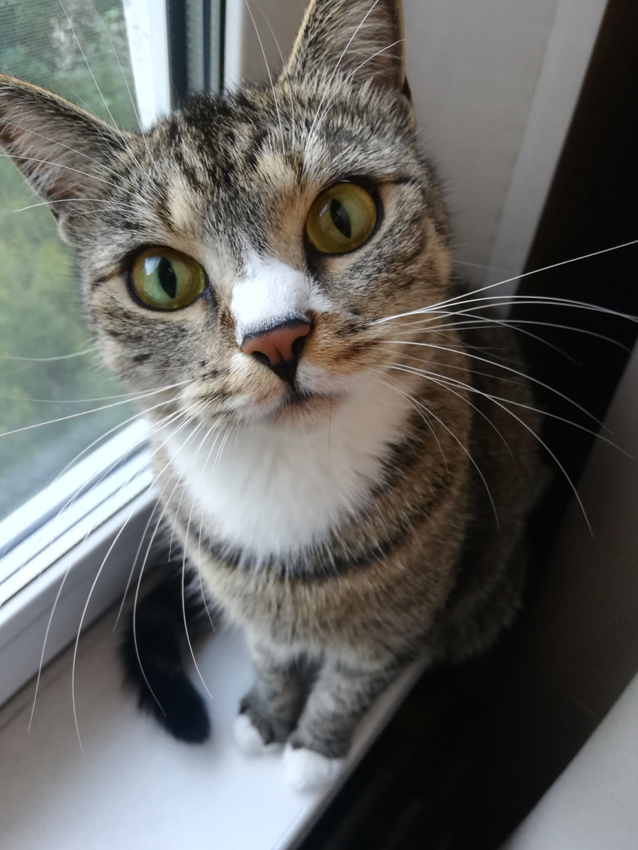 Мой ангел вдохновения!