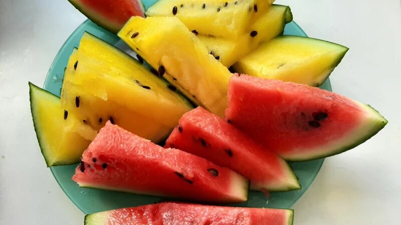     Арбузы. altapress.ru