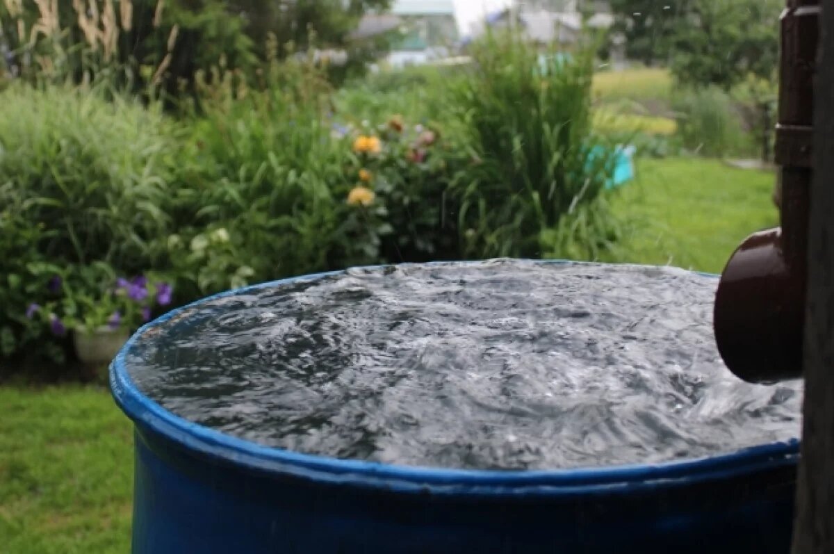    Новая волна дождей надвигается на Свердловскую область