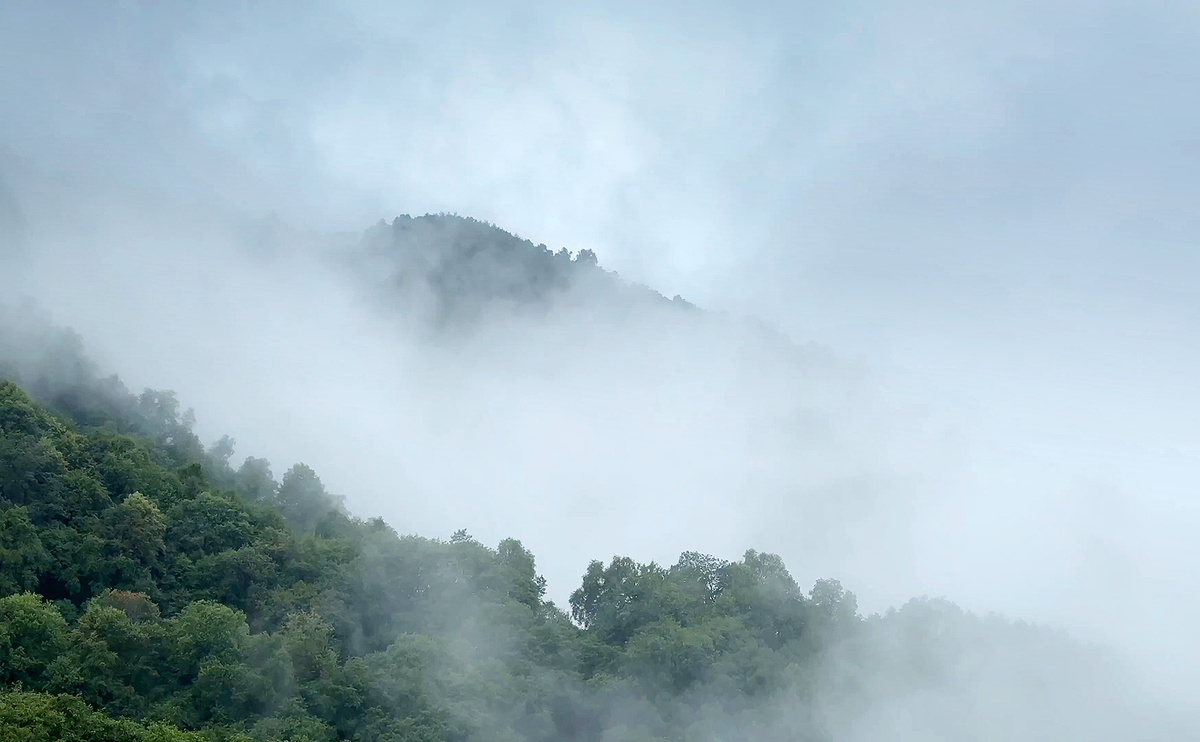 Виды по пути