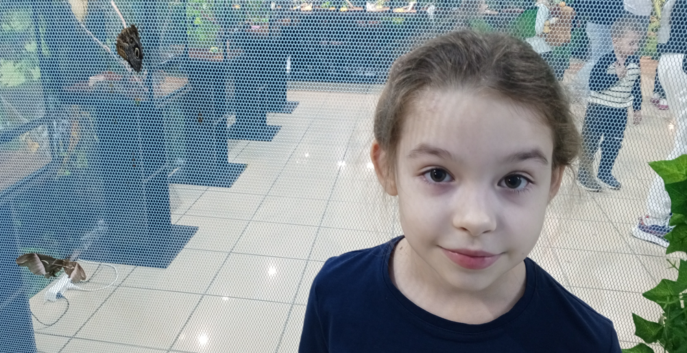 Млава и бабочки