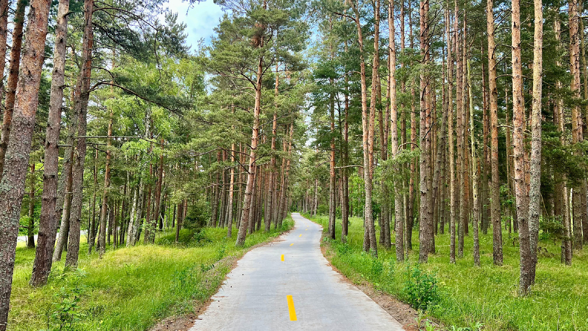 Фото автора.