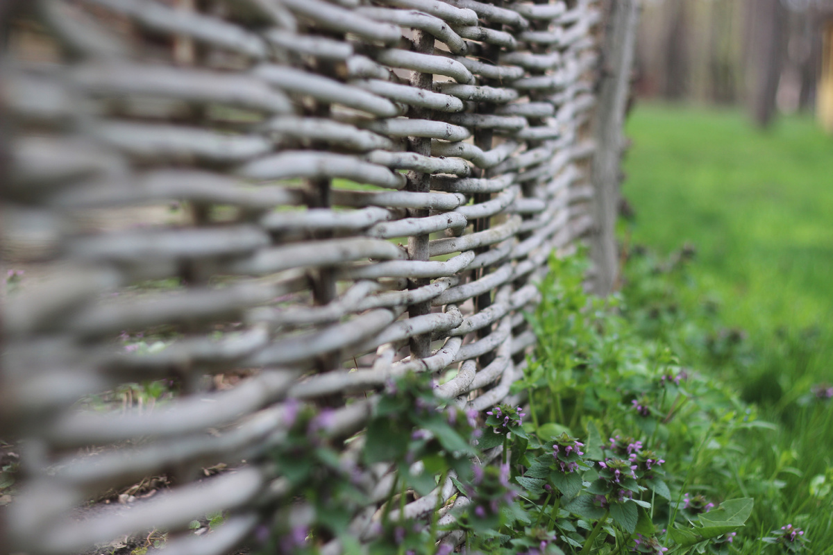 Designed by Freepik. Источник: www.freepik.com