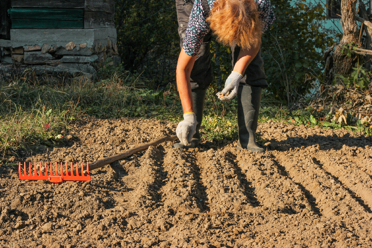 Designed by Freepik. Источник: www.freepik.com