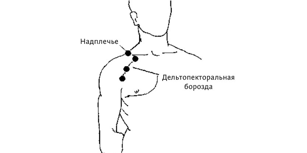 ㊙️ Профилактика невралгии грудной зоны и органов малого таза