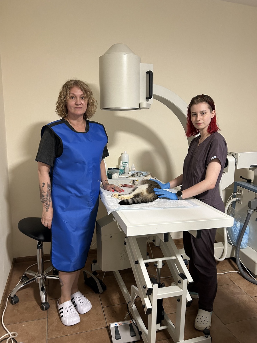 Было немного страшно за кота) он в наркозе и с ним все хорошо 