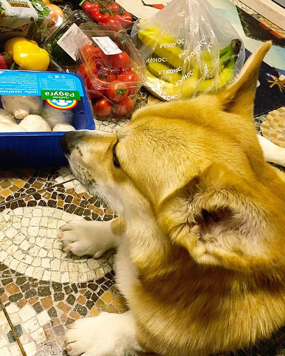 Проверка гастрономии на устойчивость