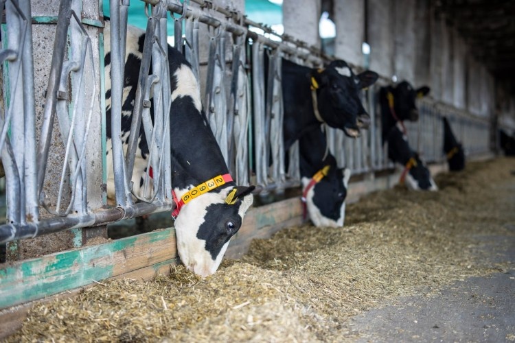    Фото пресс-службы «Прогресс Агро»