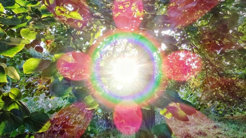 Фото: @EyeEm / freepik.com