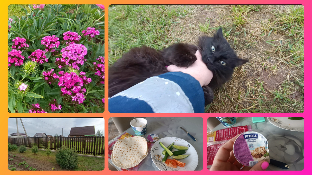 Рутуб канал "Псковская жизнь"