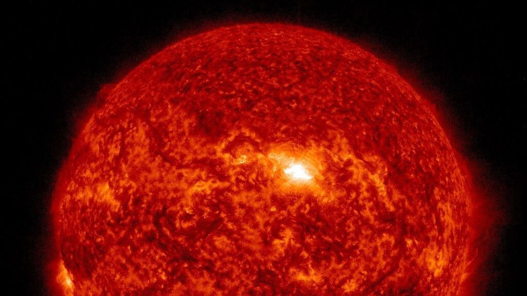    Фото: t.me/lpixras