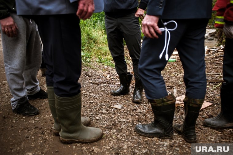 Собираясь в лес, надевайте плотную одежду и высокие сапоги. Фото: Наталья Чернохатова © URA.RU