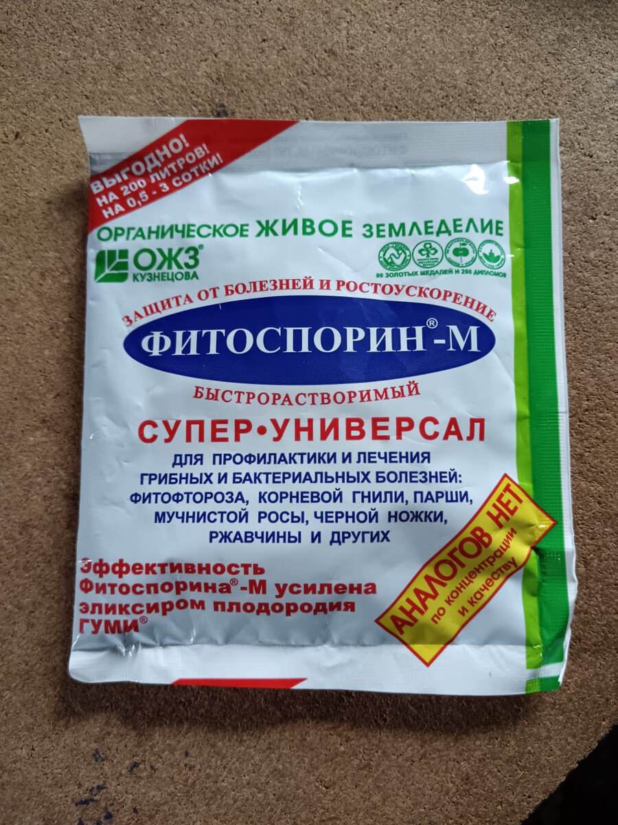 Фото автора.