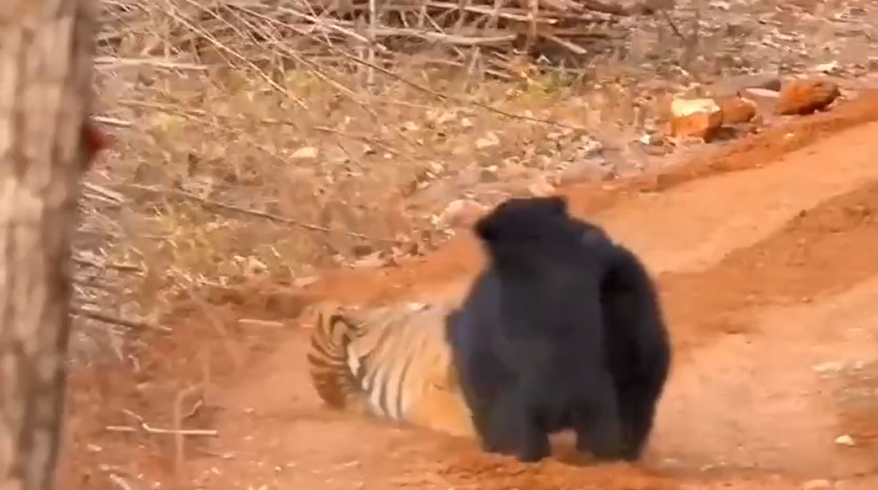    Источник фото: