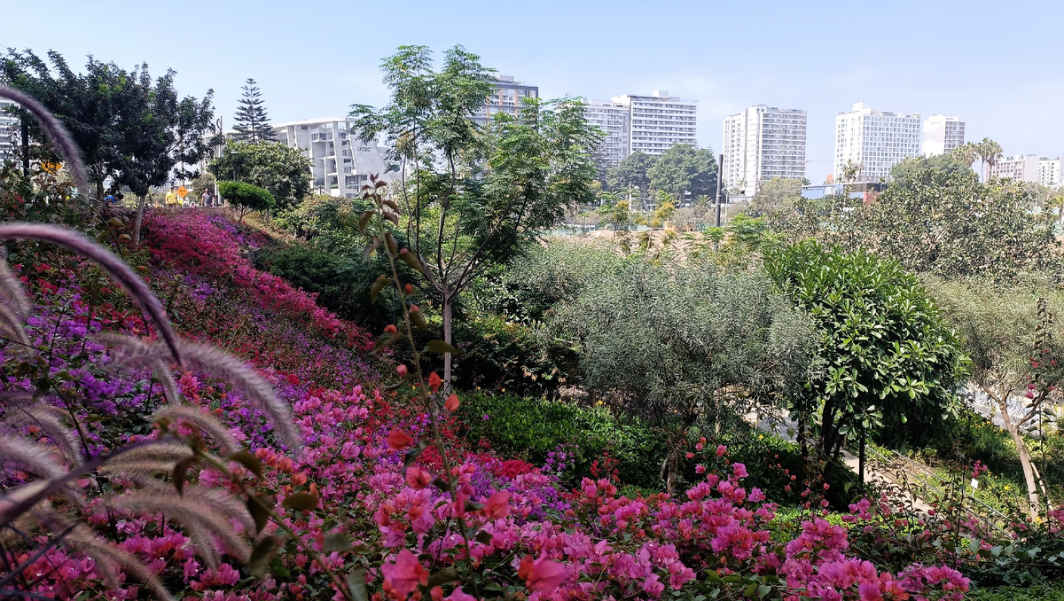 Фото из архива автора. 