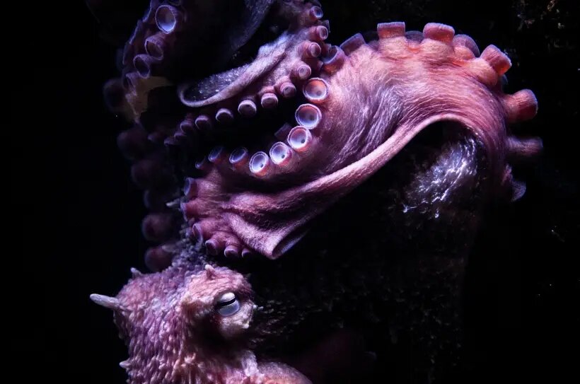     © РИА Новости. Алексей Филиппов