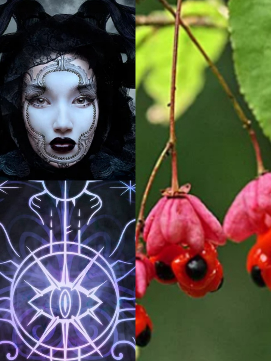 Фотоколлаж автора статьи 