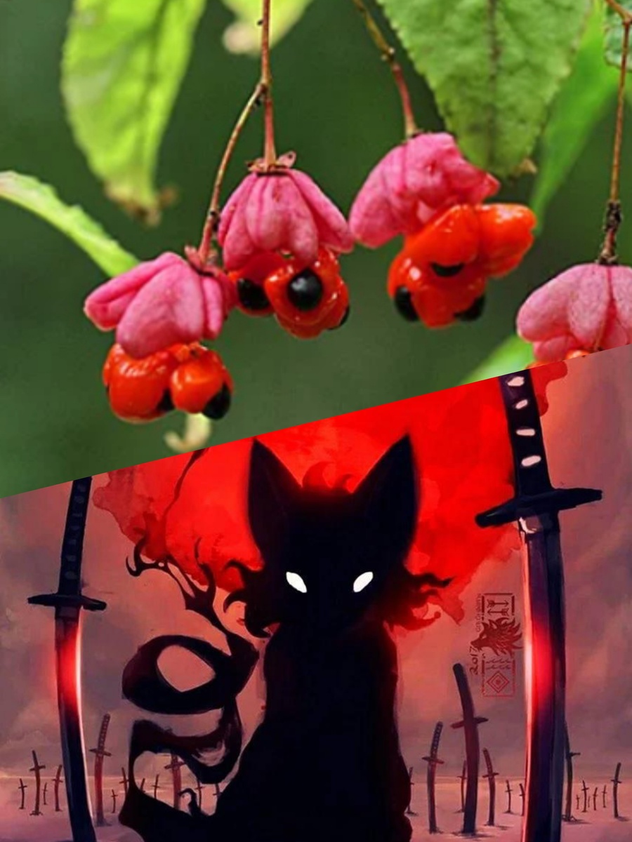 Фотоколлаж автора статьи 