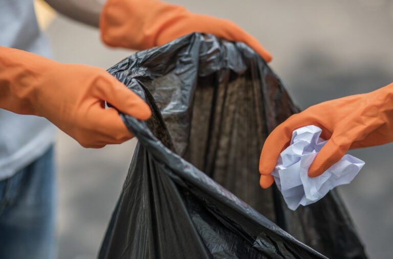    Фото: freepik.com/jcomp Ольга Шмырева