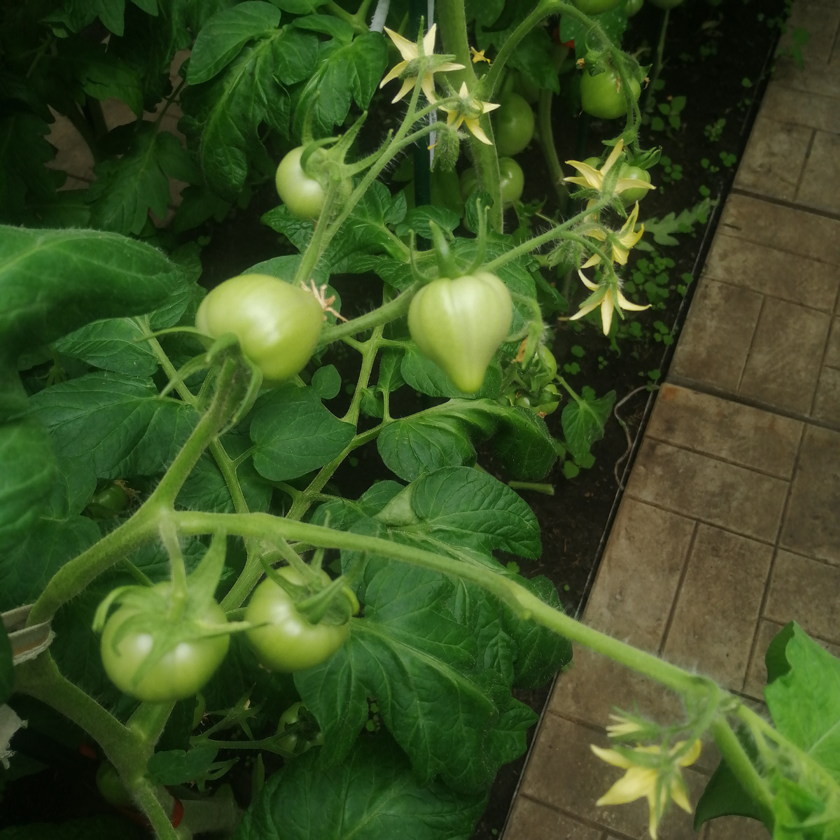 Фото автора.