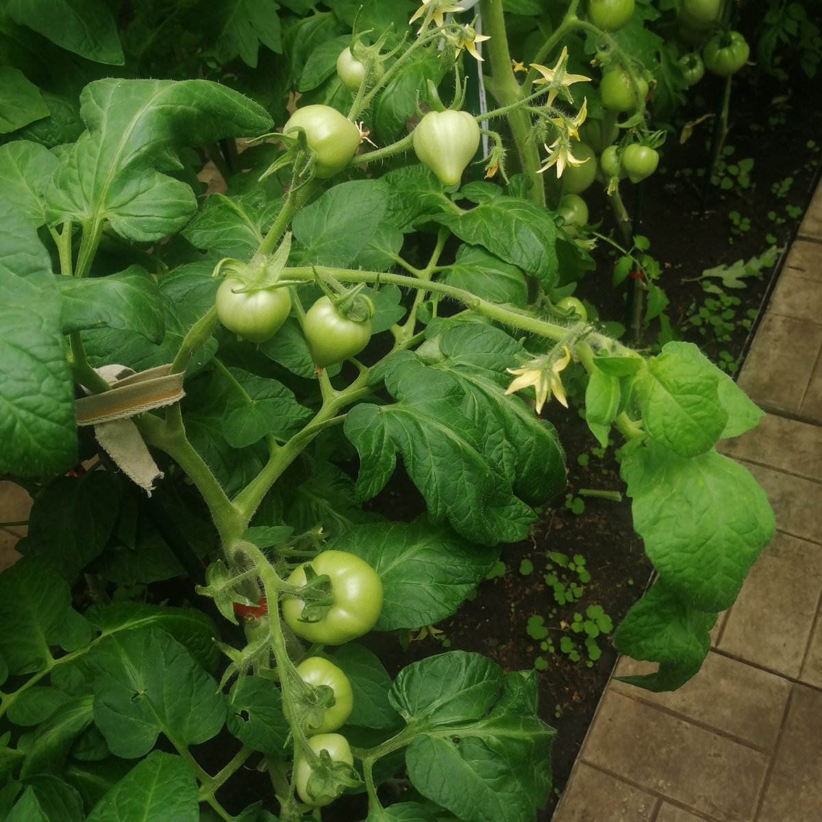 Фото автора.