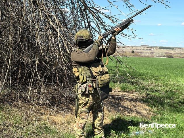 Фото: Алексей Стопичев