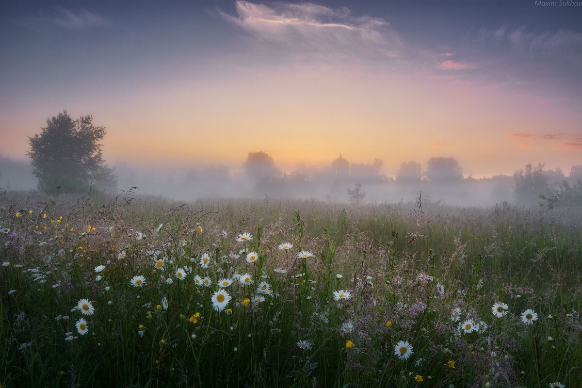 Картинка из сети интернет, спасибо автору.