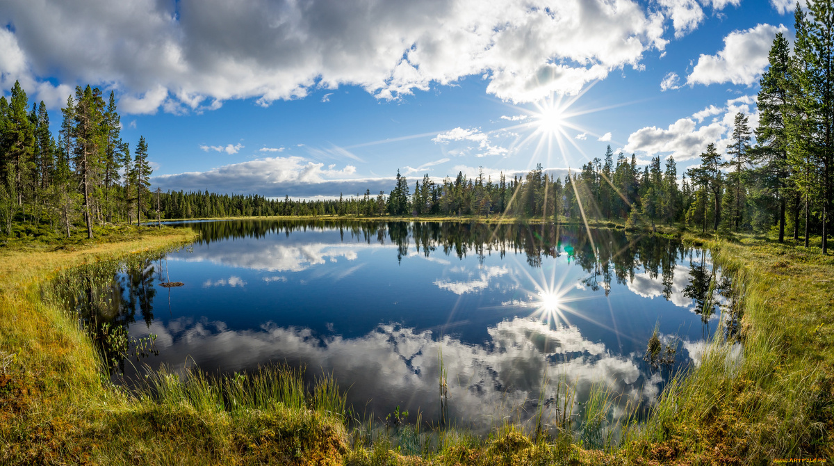 Картинка из сети интернет, спасибо автору.