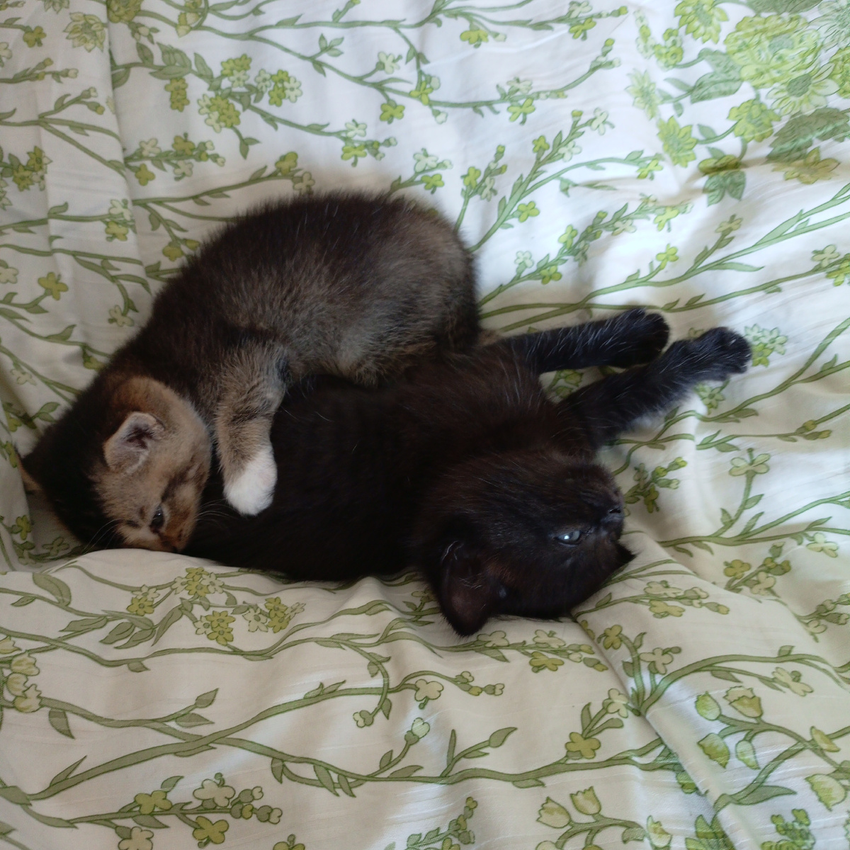 16 июня 2025 года