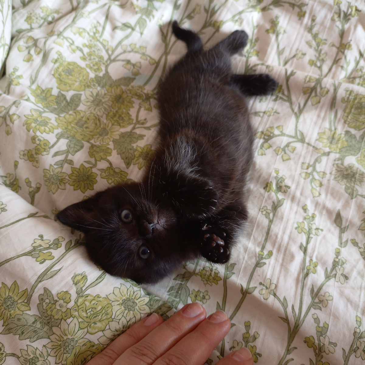 Назвали ее Буся😊