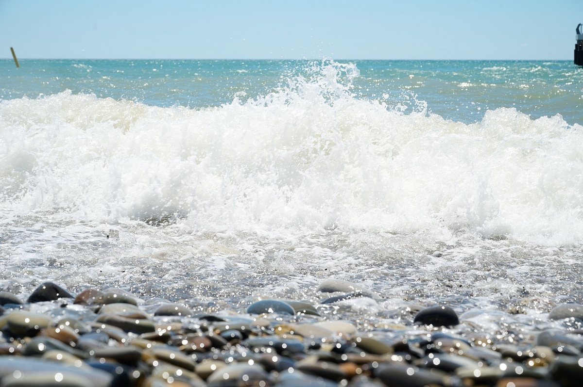    Фото: пресс-служба администрации города Сочи