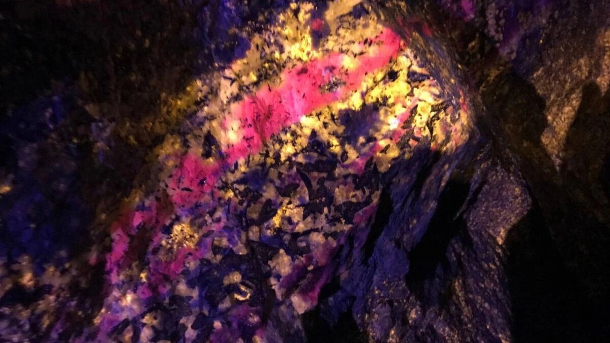    Фото://t.me/tsnigri