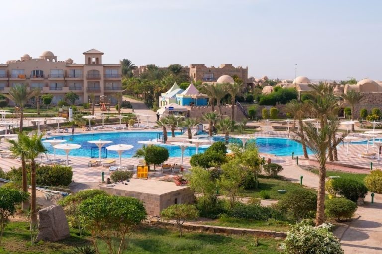    Фото: ru.freepik.com Ксения Евдокимова