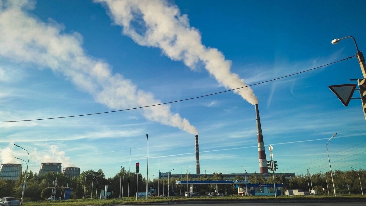     Источник: 1MI