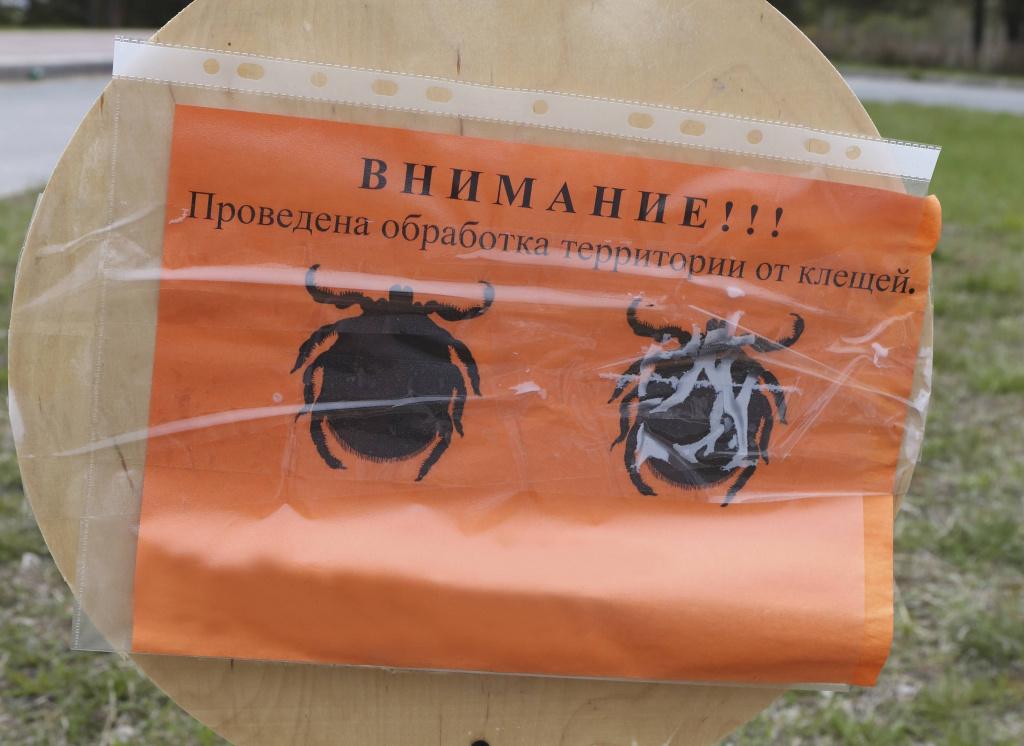    Клещи покусали уже более 3200 югорчан
