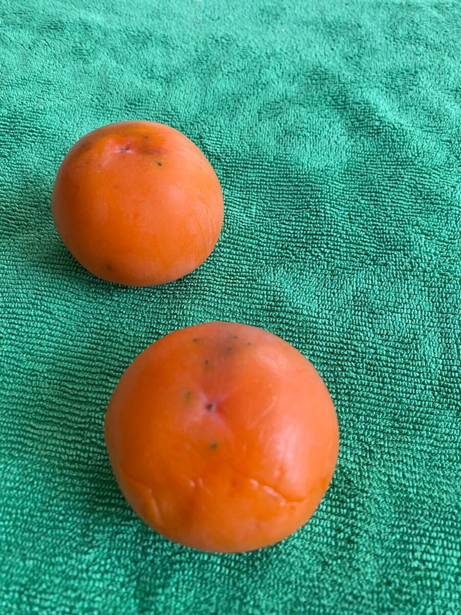 Хурма. Урожай 2024 года