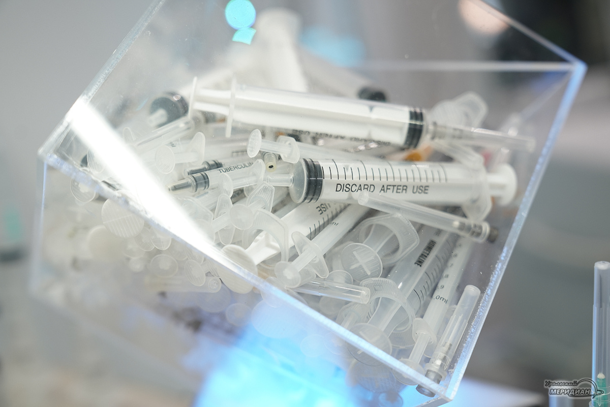    Фото: Лидия Аникина © ИА «Уральский меридиан»