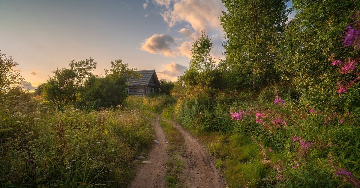 фото из открытого доступного источника сети интернет