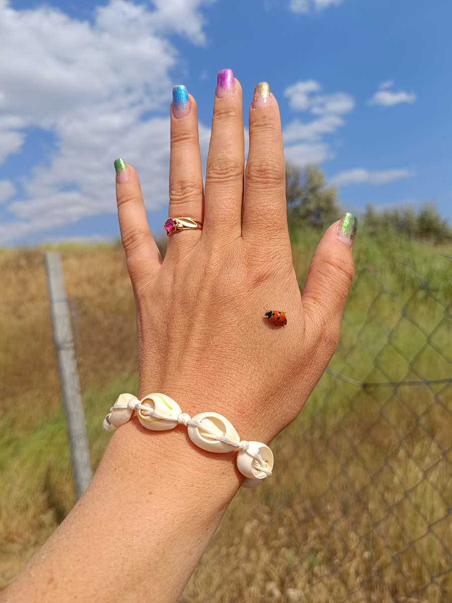 Все фото автора 