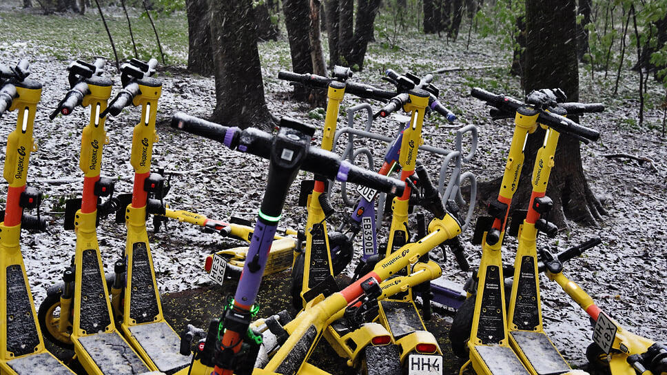 Фото: Анатолий Жданов / Коммерсантъ