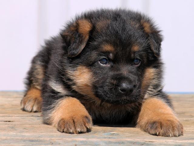 Эта малышка ждет своего особенного имени! 💖